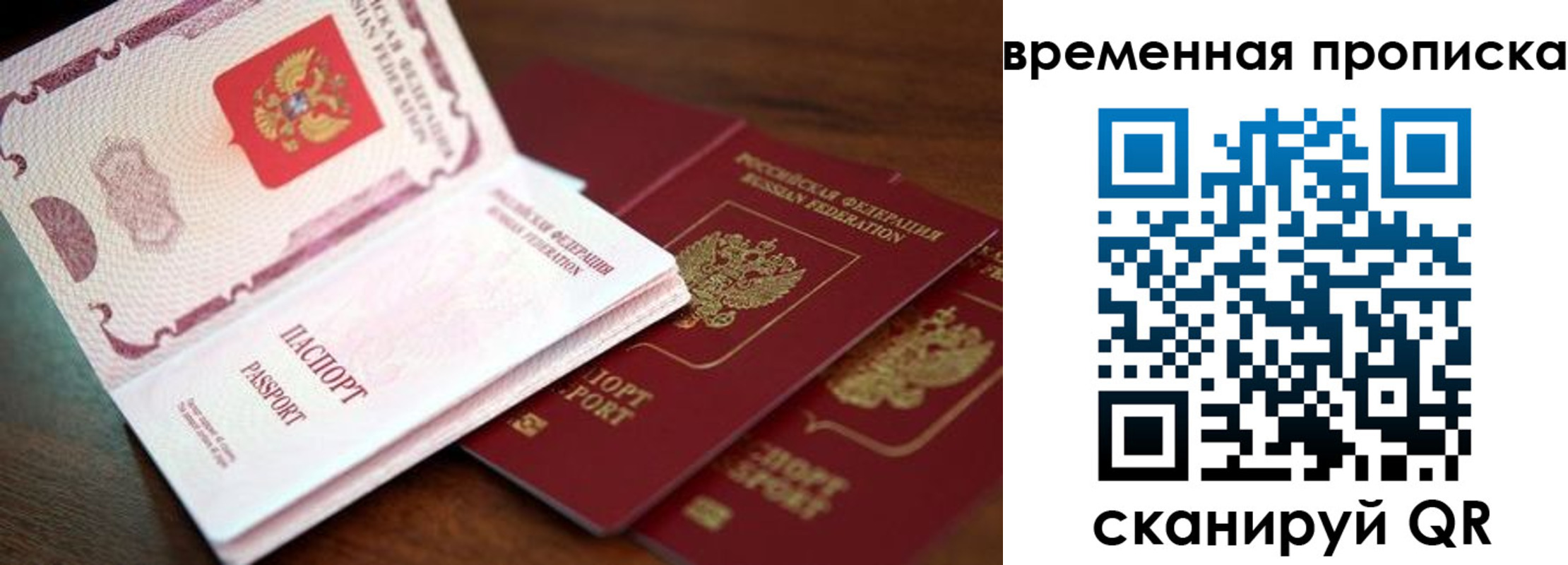 прописка гарантия в Зеленоградске